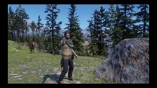 guide to installing why ems dlc and red dead offline 2026 windows 11