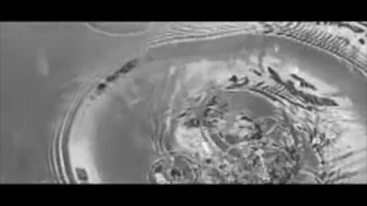 Water e.motions - Alba S. Torremocha