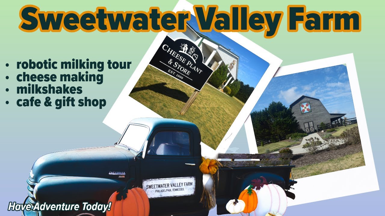 Sweetwater Valley Farm: Interesting Tour with Tasty Farm Cheese and Milkshakes!