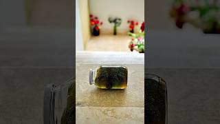 Need A Laugh Today? This Slime Bottle Will Do It