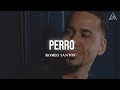 Romeo Santos - Perro (Letra) 🎶