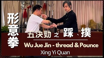 Xing Yi Quan Wu Jue Jin - thread & Pounce 形意拳 - 五決勁之 踩、撲