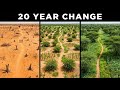 How Niger Restored Millions of Hectares Without Planting Trees — With Simple Natural Regeneration