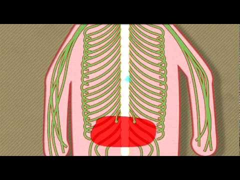 Video: CGRP Migraine-behandeling: Hoe Het Werkt, Medicijnen, Kosten En Meer