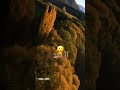 هالستوري مقصودة 