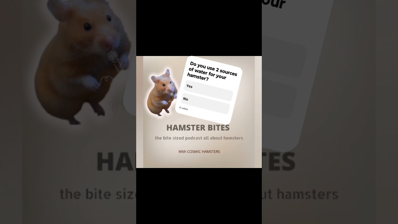 How many water sources does your hamster have?