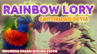 Download lagu FAKTA MENARIK BURUNG NURI PELANGI