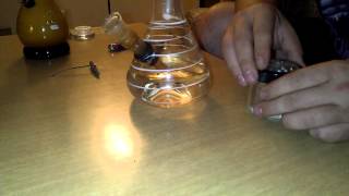 Bong rips and contest thoughts