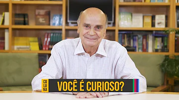 O que desperta sua curiosidade?