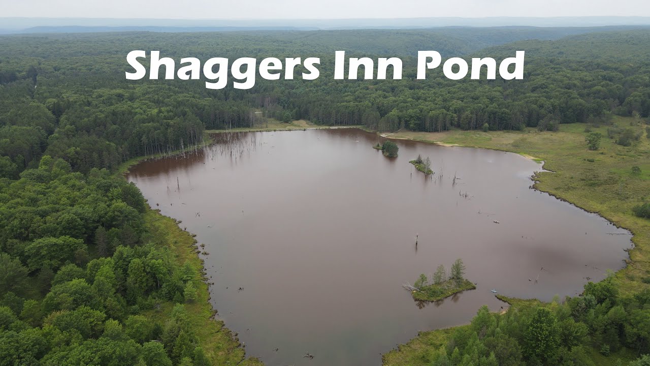 Shaggers Inn Pond, Clearfield PA 8/15/2020 YouTube