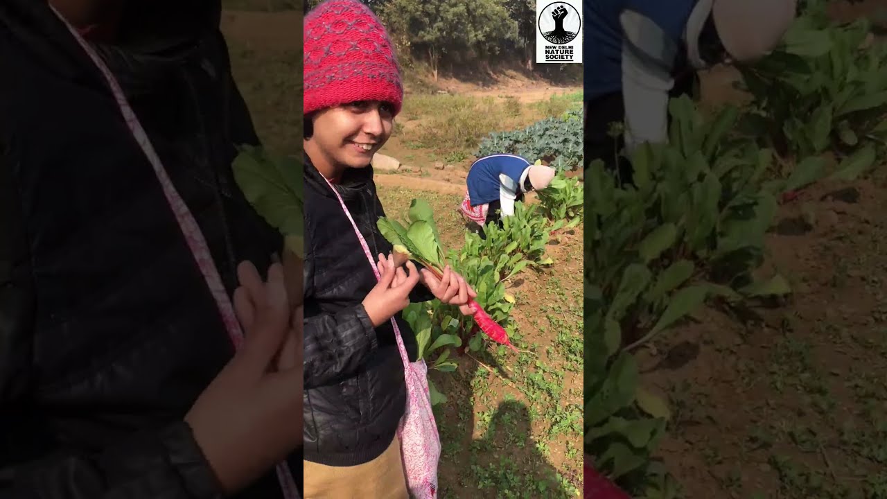 Farm Workshop - Green Vibes Farm || #shorts #nature #newdelhi #greendelhi