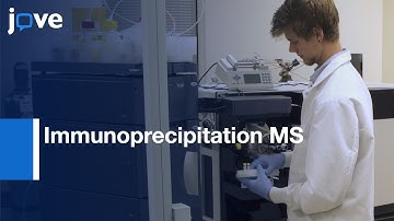 Immunoprecipitation MS for Nuclear Interactome Profiling |Protocol Preview