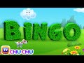 Bingo dog song  nursery rhyme with lyrics  cartoon animation rhymes  songs for children