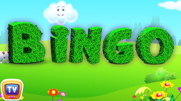 BINGO Dog Song - Nursery Rhyme With Lyrics - Cartoon Animation Rhymes & Songs for Children