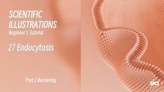 Beginner C4D Tutorial for Scientific Visualization | Rendering Guide | 27 Endocytosis