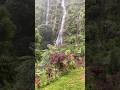 The cool atmosphere in the beautiful and enchanting waterfall makes you relax