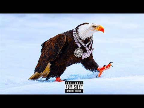 Future ft. Lil Double 0 - Solitaire (Remix) (Visualizer) (Prod. Caviar Cartel)