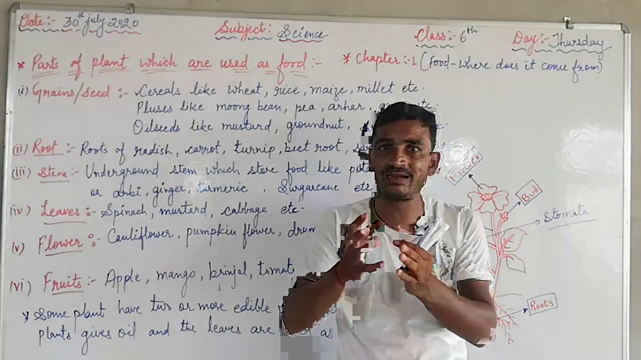 Science (Class6 ) Chapter 1 YouTube