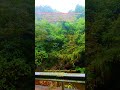 My Thoughts After Visiting Dongzhaijiang Village, Guilin, China