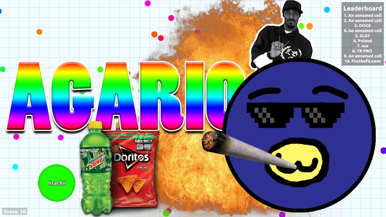 AGARIO MLG MOMENTS!