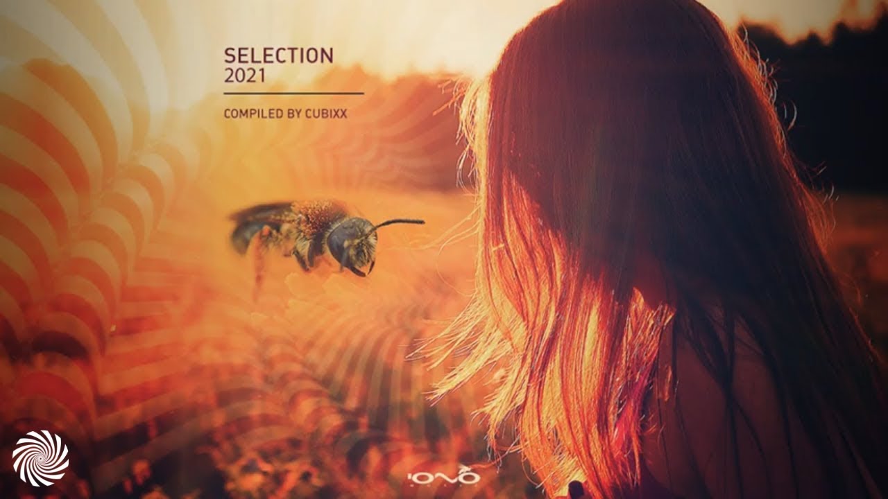 Mindbenderz - Quantum Field