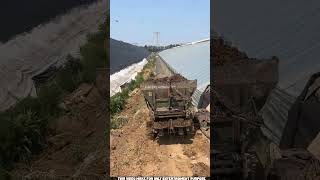 Come On Let’s Go Get the Fertilizer Spread 🌱🚜~woodworking ~ art ~skill #shorts #facts