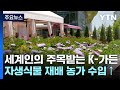 세계인 주목받는 K-가든, 자생식물 재배로 농가 수입↑ / YTN Mp3 Song