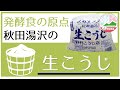 秋田湯沢の生こうじ1kg：ゆざわジオパーク認定商品 (秋田県湯沢市) 美味しい甘酒  雛祭り　原料自家栽培 発酵食文化  東北 ドライブ 旅行 ツーリズム 土産 プレゼント