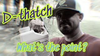 Let’s Test D-thatch (Part 1) and 4th of July Plan for Success