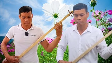 Đàn tính tẩu Lò Đến cùng lời ca ngọt ngào và say đắm đi vào lòng người | Khắp Thái