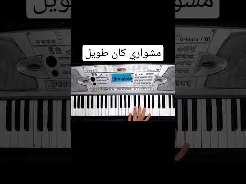 عزف مهرجان دنيا معفرة مشواري كان طويل عصام صاصا