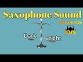 Saxophone Sound Development