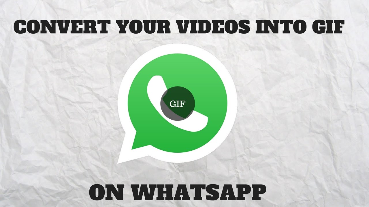 WhatsApp - How to send GIFs and convert video to GIF within the app