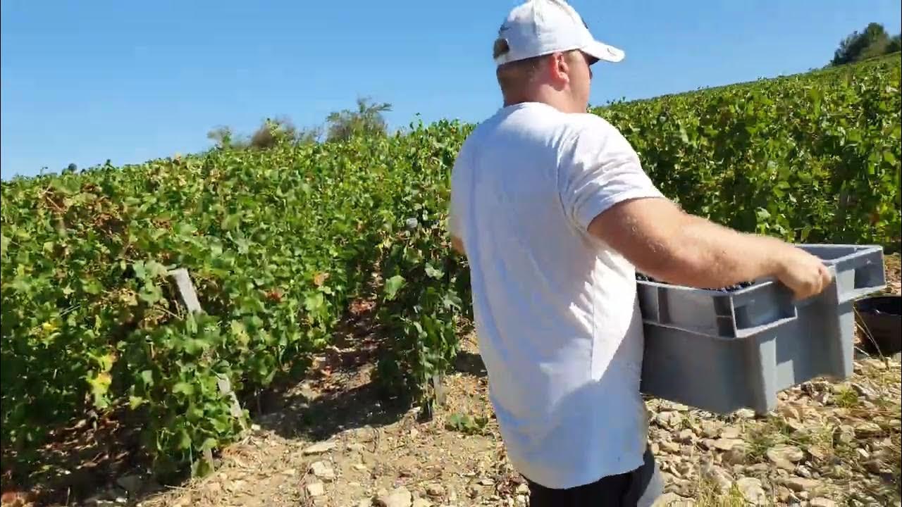 Harvest France YouTube
