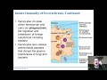 Chapter 35   Innate Immunity