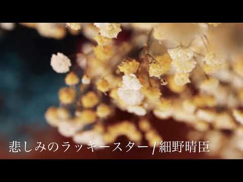 【コラボ】悲しみのラッキースター /細野晴臣 (cover)