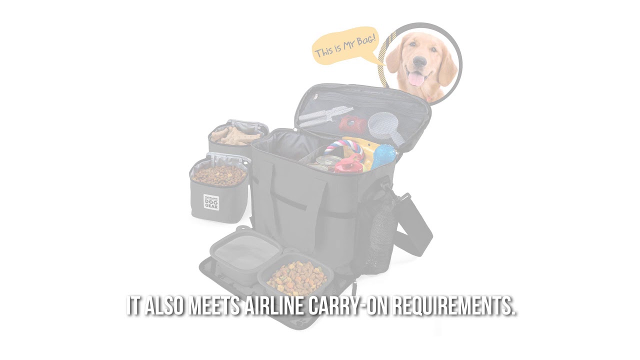 Dog Travel Bag Product Review & More