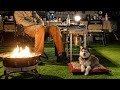 1,200 yd² penthouse winter camping with puppy. Save the dying cat
