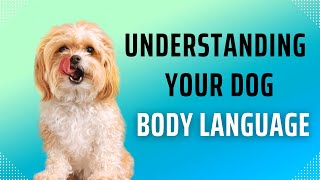 Understanding Dog Body Language