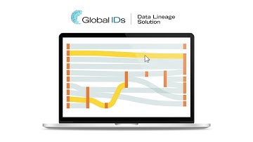 Global IDs Data Lineage