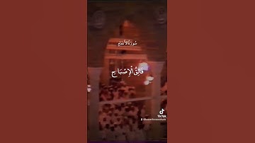 إن الله فالق الحب والنوى | سورة الأنعام | علي جابر