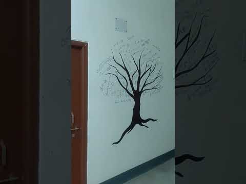 Mathematics is everywhere now on the walls #maths #mathshorts
