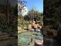 Moana Way of Water EPCOT #short #disney #EPCOT #disneyparktour