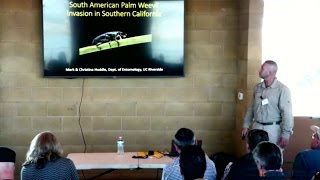 South American Palm Weevil Invasion in Southern California