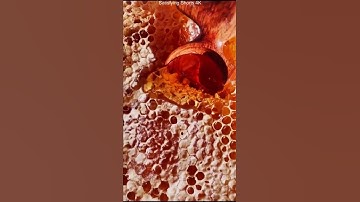 Honey Satisfying - most satisfying honey compilation | wild honey harvesting | satisfying videos
