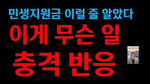 이재명 민생 지원금/이럴 줄 알았다