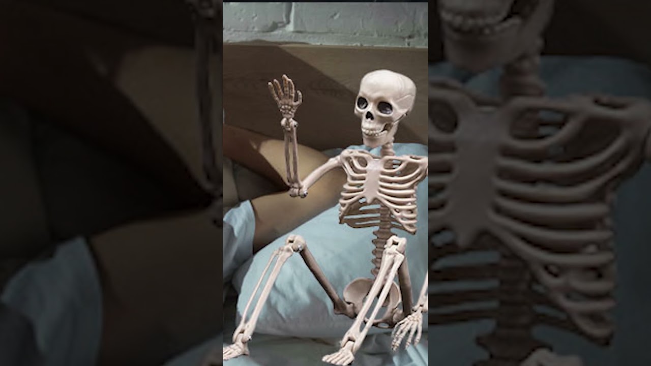 Professional Dating Advice 