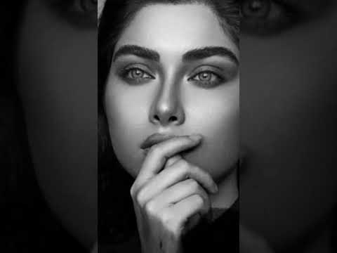 هاني شاكر مين في الحياة