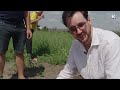 How Ukrainian farmers grow watermelons near the front line