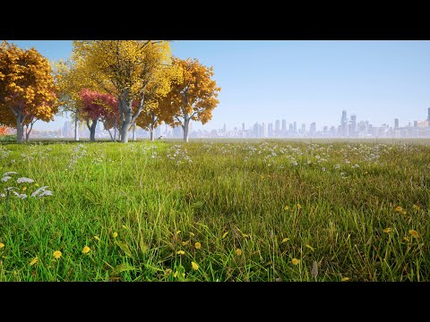 Ответы на вопросы дорогих подписчиков!